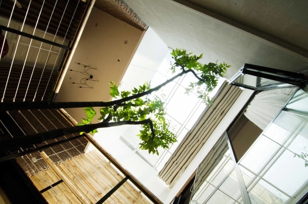 Ngôi nhà 46m² tuyệt đẹp có chi phí hoàn thiện 480 triệu đồng chàng trai 8x xây tặng vợ