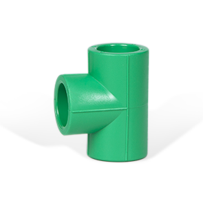 Cút t - loại đồng cỡ